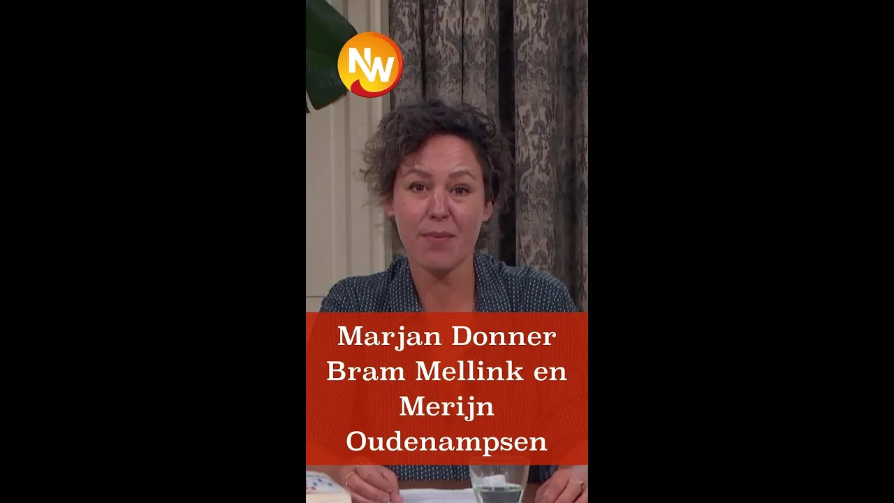 Waarom besteedt politiek beslissingen uit aan experts, technocraten en commissies van wijzen?