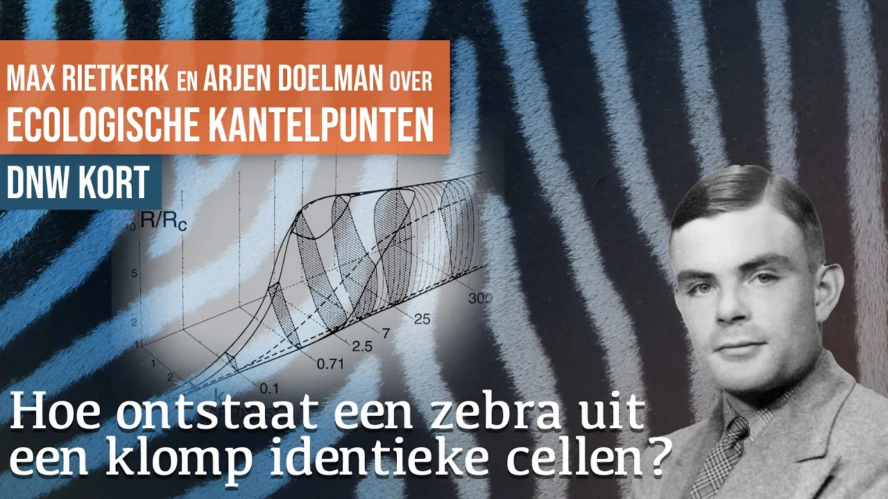 Alan Turing, biologische patronen, kantelpunten en de veerkracht van ecologische systemen | DNW Kort