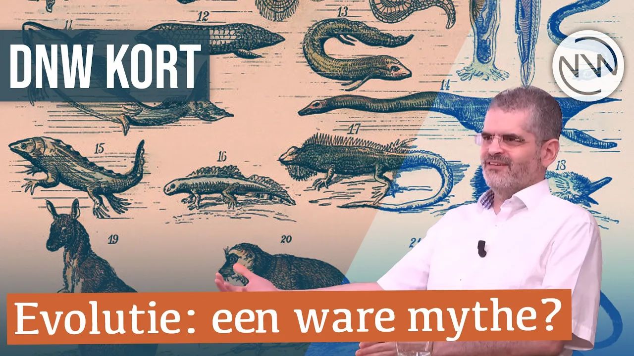 Idealisme, mythologie en evolutie | DNW Kort