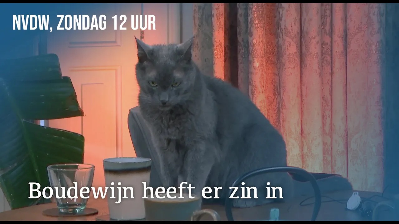 Boudewijn heeft er zin in!